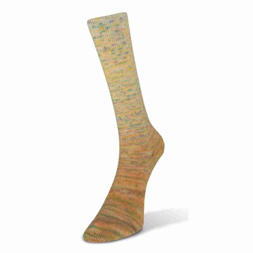 Paint Gradient Sock Farbe 17