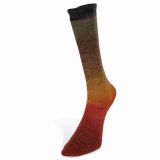 Harmonious Socks Farbe 5 von Laines du Nord Harmonious Socks Farbe 5 von Laines du Nord