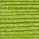 Ricorumi Twinkly Twinkly dk von Rico Design Farbe 014 Grün Ricorumi Twinkly Twinkly dk von Rico Design Farbe 014 Grün