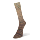Paint Gradient Sock Farbe 14 Paint Gradient Sock Farbe 14