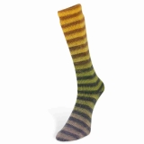 Paint Socks 6-fach Farbe 2 von Laines du Nord