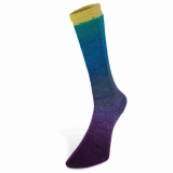 Harmonious Socks Farbe 7 von Laines du Nord Harmonious Socks Farbe 7 von Laines du Nord