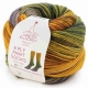 Paint Socks 6-fach Farbe 5 von Laines du Nord