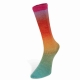 Harmonious Socks Farbe 1 von Laines du Nord