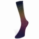Harmonious Socks Farbe 3 von Laines du Nord