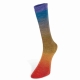 Harmonious Socks Farbe 4 von Laines du Nord