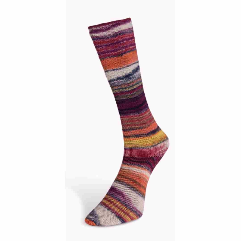 Eclectic Sock Farbe 4 von Laines du Nord – Sockenwolle