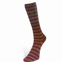 Paint Socks 6-fach Farbe 6 von Laines du Nord