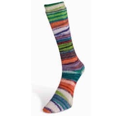 Eclectic Sock Farbe 3 von Laines du Nord – Sockenwolle