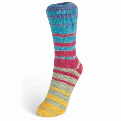 Summer Sock Farbe 105 von Laines du Nord – Sockenwolle