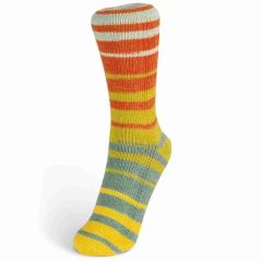 Summer Sock Farbe 107 von Laines du Nord – Sockenwolle